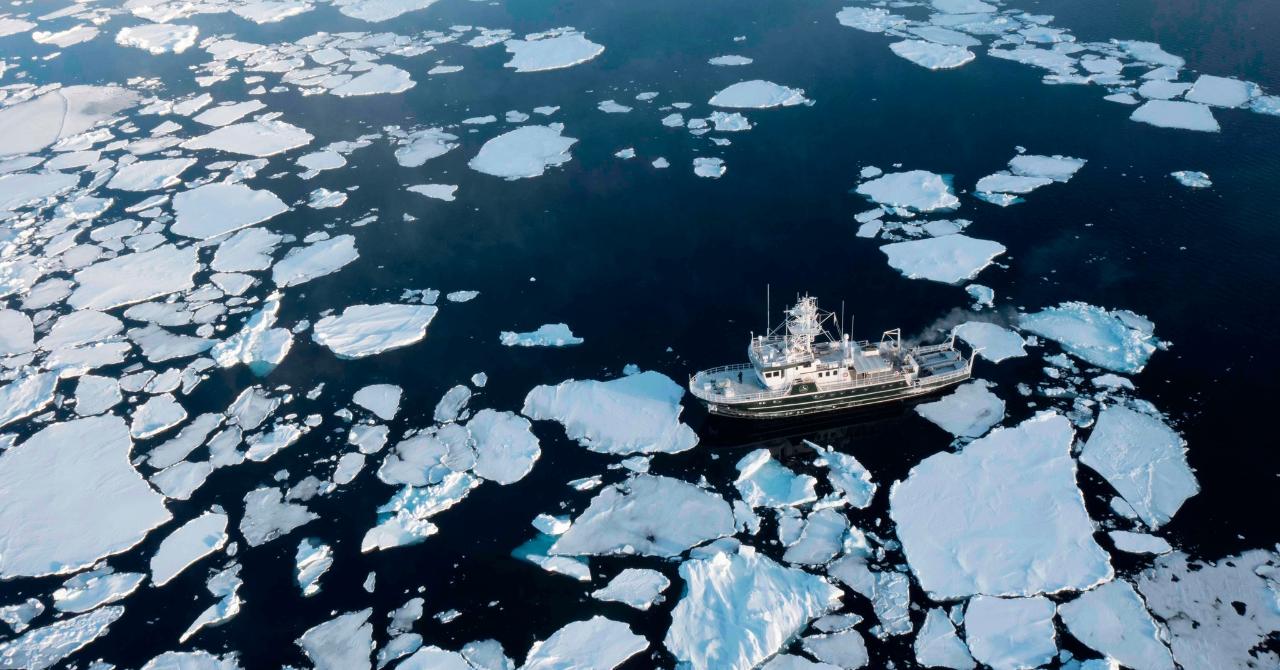 SVALBARD EXPEDITIONS