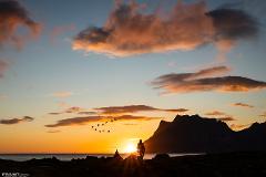 Discover Lofoten Islands - CRUISE PASSENGERS -