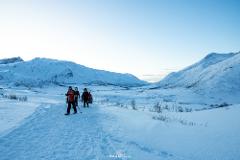 Artic Hike (Snowshoes)