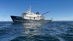 SVALBARD EXPEDITIONS