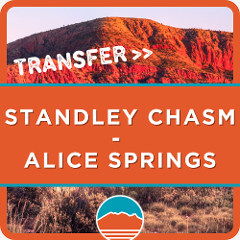 Larapinta Trail Transfer from Standley Chasm