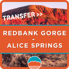 Larapinta Trail Transfer from Redbank Gorge