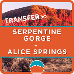 Larapinta Trail Transfer from Serpentine Gorge