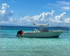 Snorkel & Island Hopping (Grady White)