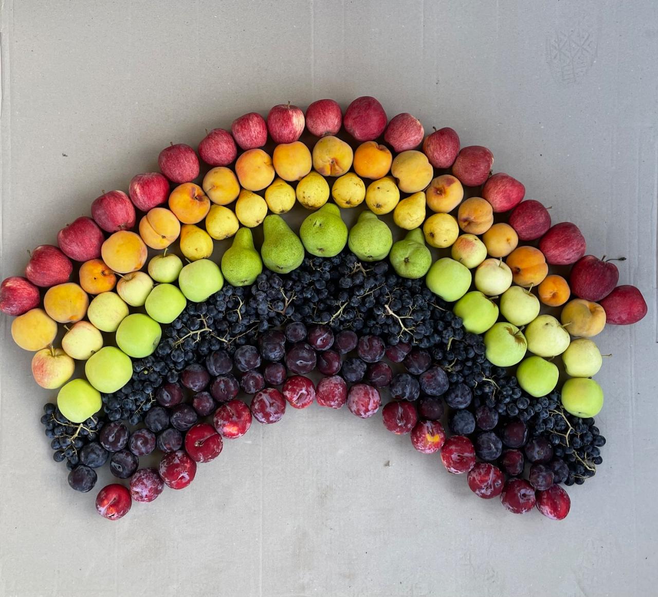 Taste the Rainbow - Guided Orchard Fruit Picking Tour