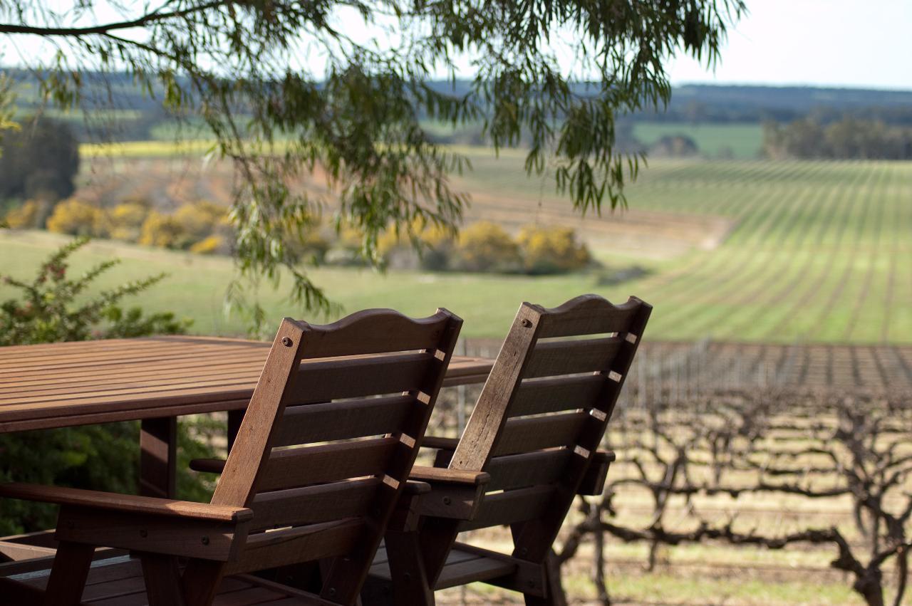 Wine + BBQ Picnic at Ferngrove