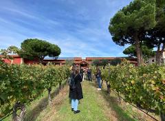 Wine tour in Ribera del Duero | Visit 3 Wineries + lunch