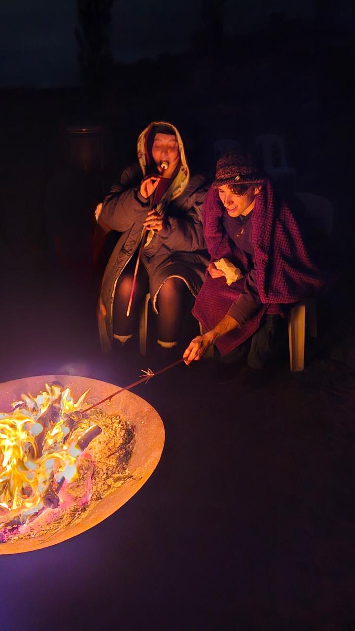 Starlight & Vines — a stargazing night at ridgemill estate
