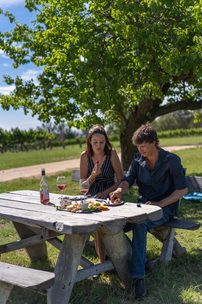 Picnic and Play Day 