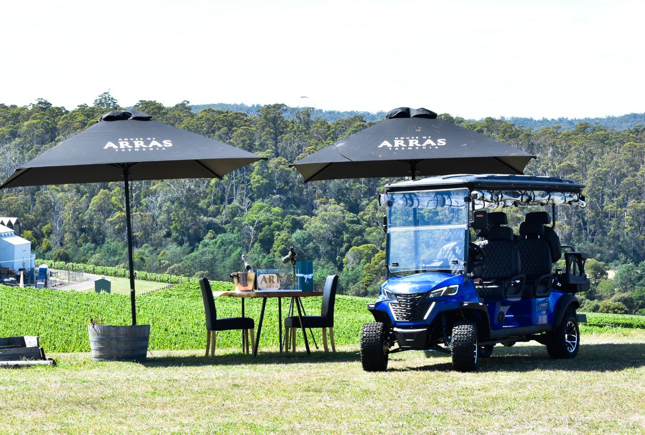 House of Arras: Wine & Wildlife Vineyard Safari — Tamar Valley - Photo 5