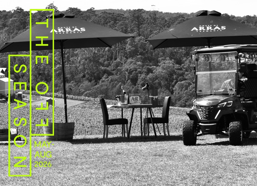 Vineyard Safari -THE OFF SEASON 