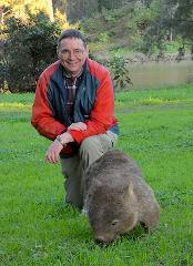 Wildlife and Animals Tour with Wombats and Kangaroos from Sydney