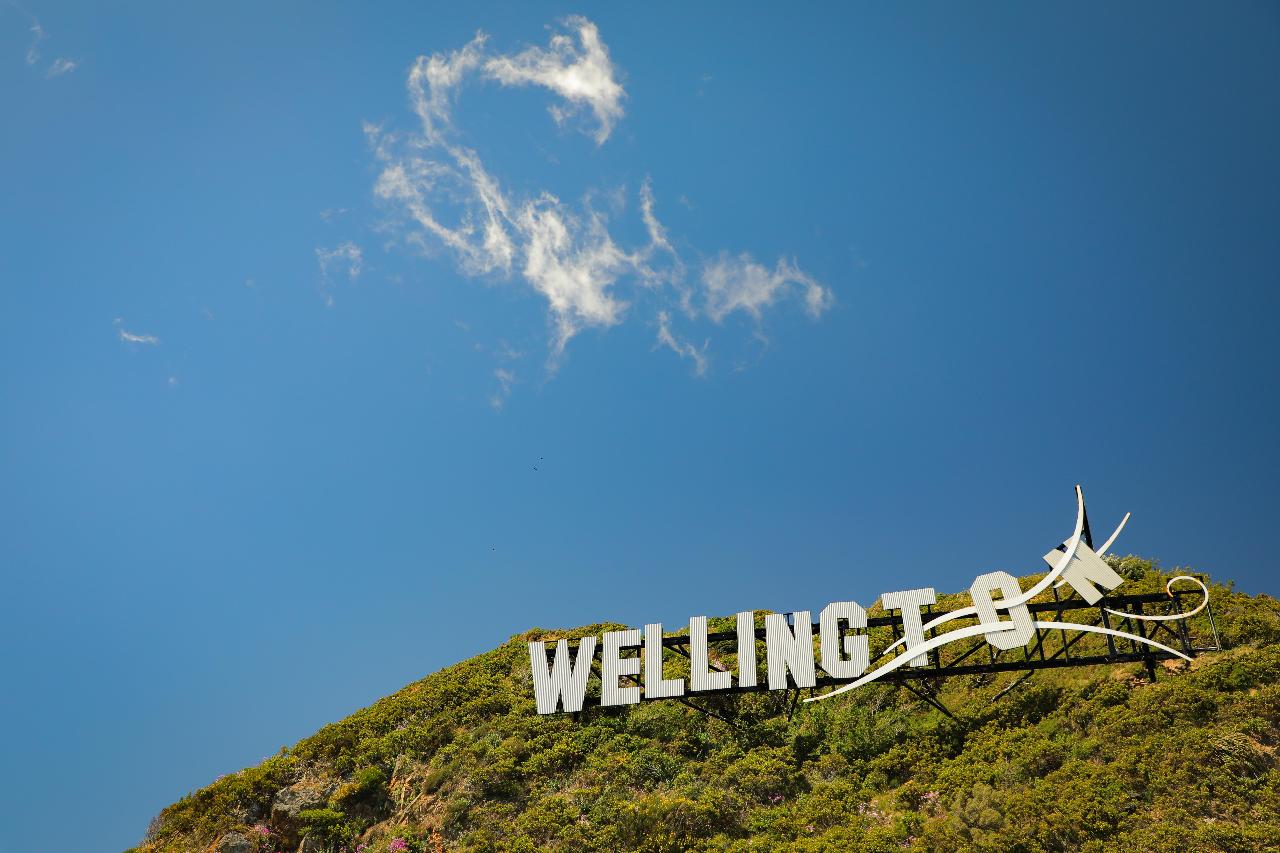 Discover Wellington