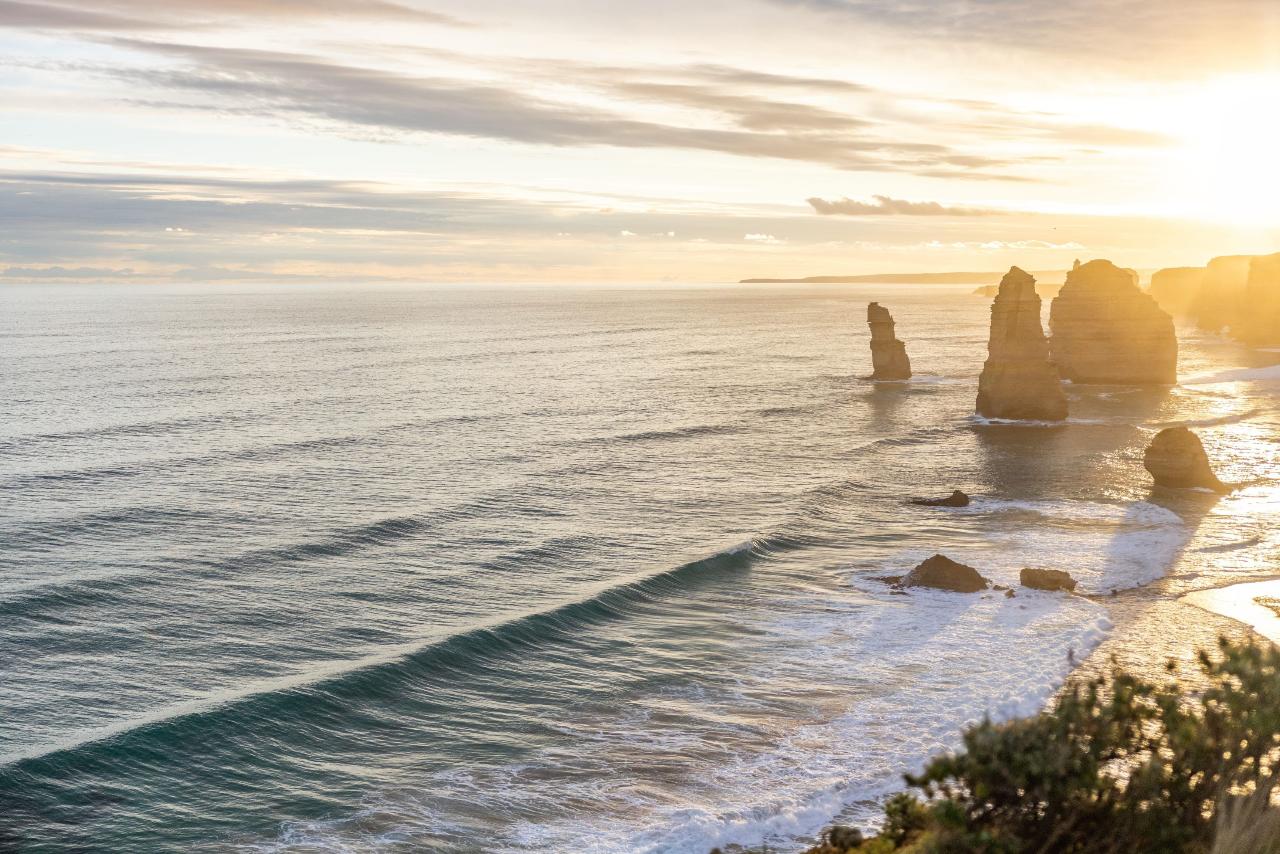 Great Ocean Road Wildlife Park and Twelve Apostle Sunset Tour