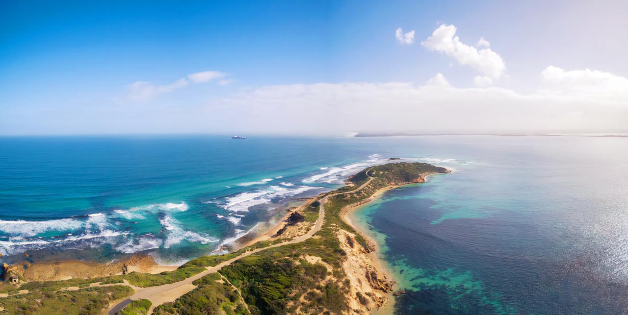 Depart Peninsula: Mornington Peninsula Southern Coast Discovery Tour