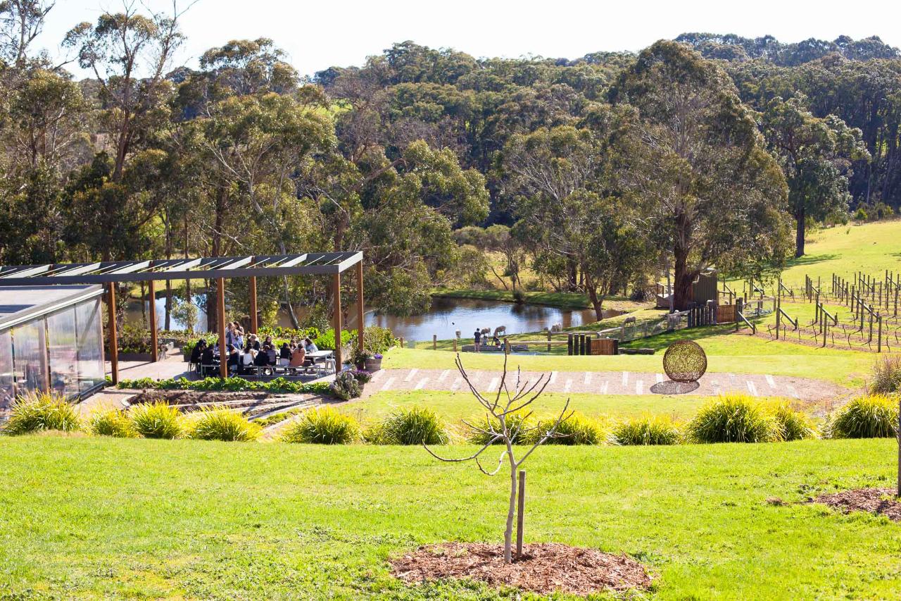 Local Way Tours: Depart Peninsula: Mornington Peninsula Food & Wine Tour - Photo 2
