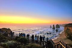 Great Ocean Road Wildlife Encounter & Sunset Tour from Melbourne