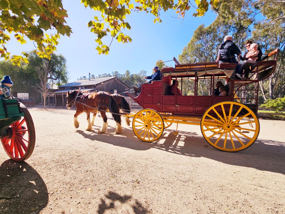 Local Way Tours: Murray River Paddle Steamers & Wine Tour — Perricoota - Photo 3