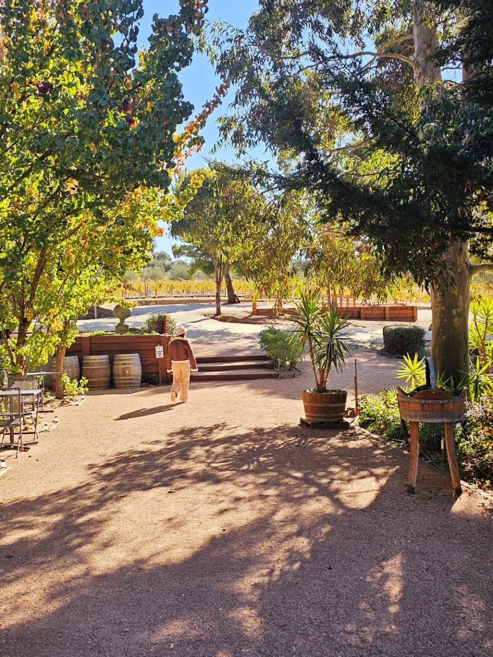 Local Way Tours: Murray River Paddle Steamers & Wine Tour — Perricoota - Photo 4