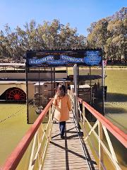 Murray River Paddle Steamers & Wine Tour