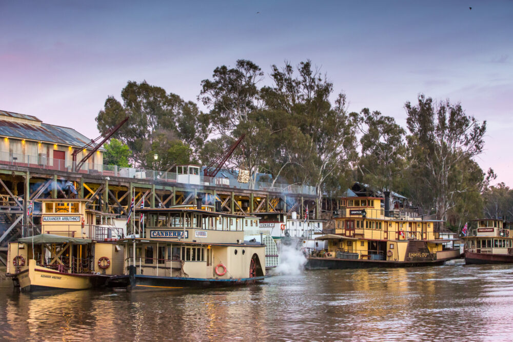 Local Way Tours: Murray River Paddle Steamers & Wine Tour — Perricoota - Photo 6