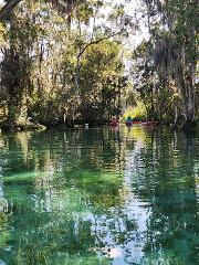 Guided Kayak Tour Single (One Person)