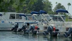 Pontoon Boat 1 Full Day Rental