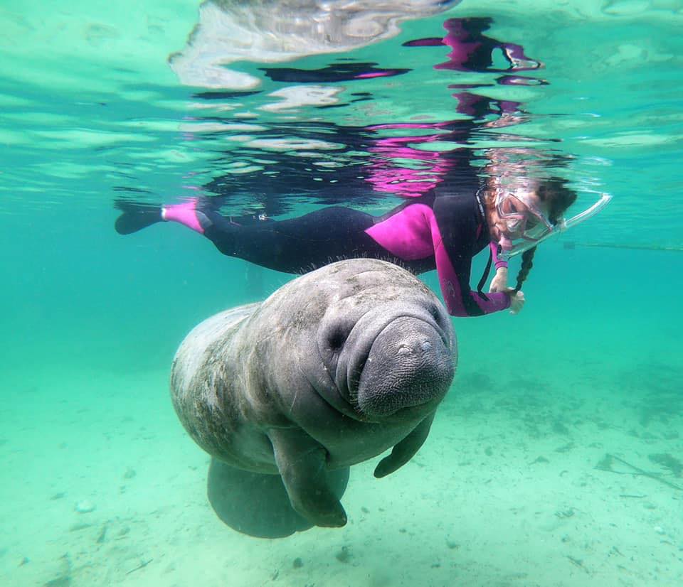 Manatee Swim & Rainbow River Adventure Combo
