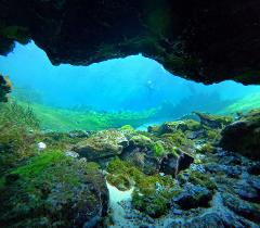 Rainbow River - Snorkel or Dive