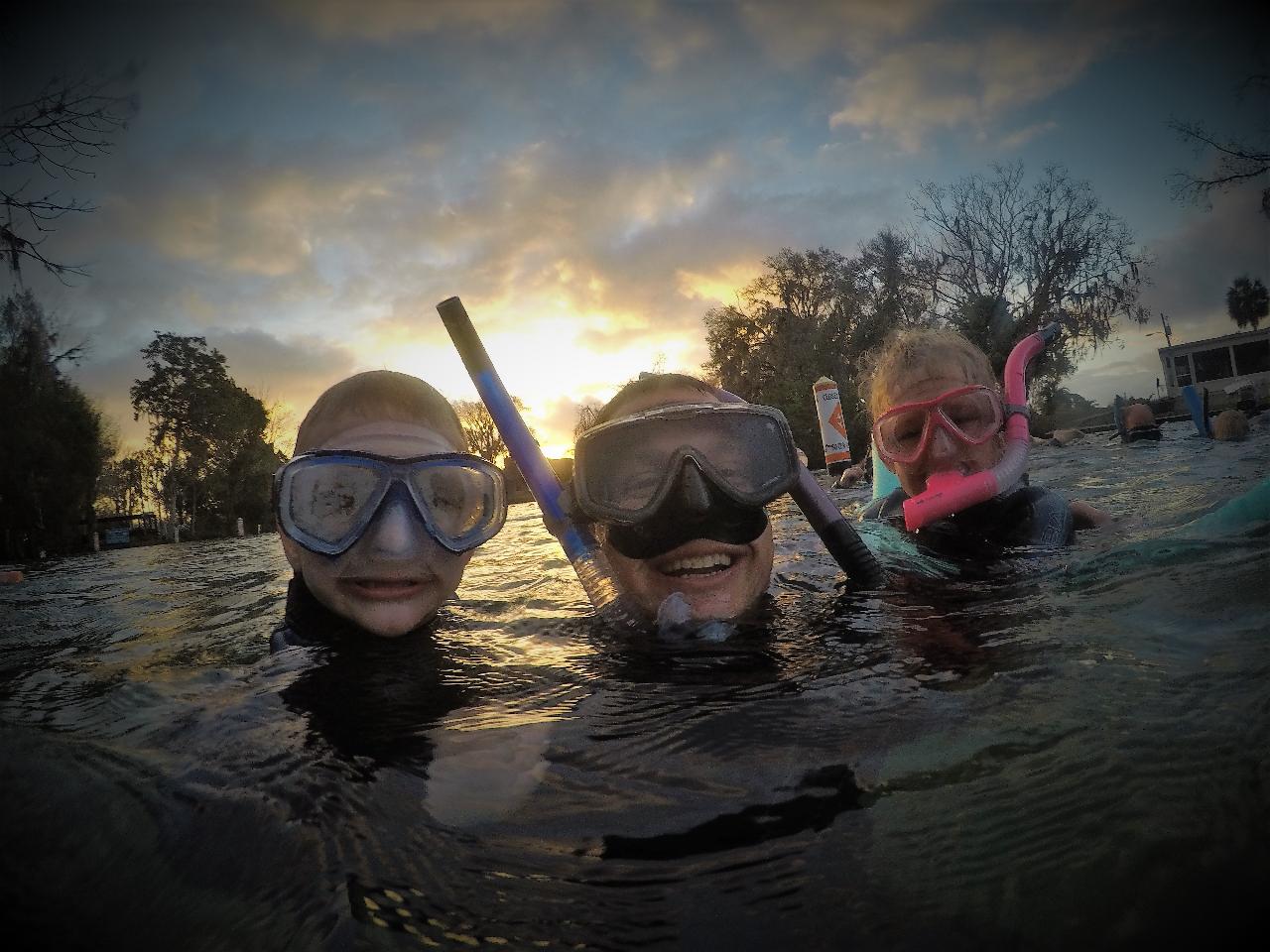 The Private Manatee Swim Tour - Waterfront Adventures; Swimming With ...