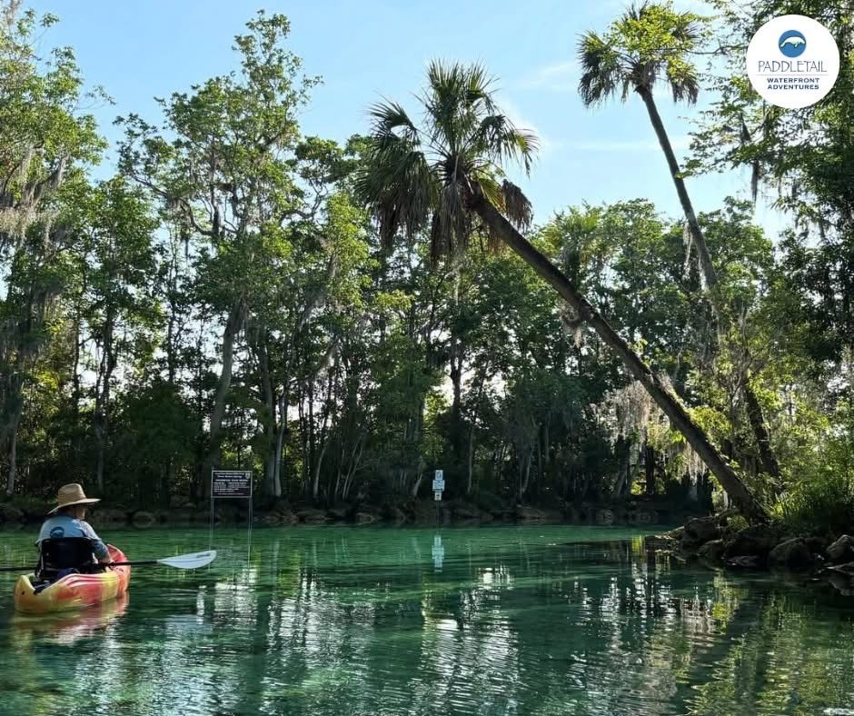 Single Kayak Half Day Rental