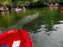 Tandem Kayak Half Day Rental