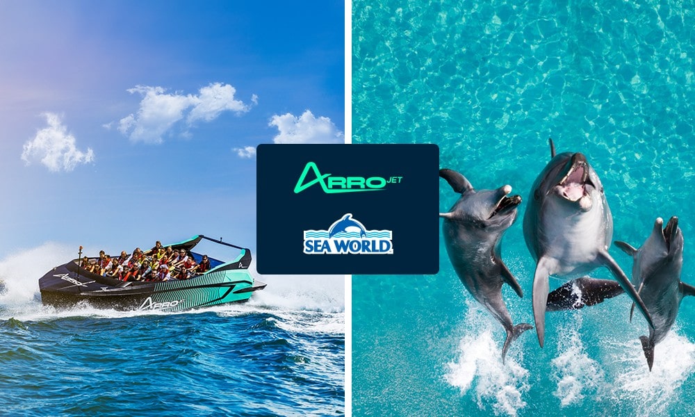 Arro Jet + Sea World Entry