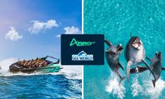 Arro Jet + Sea World Entry