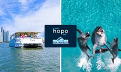 Hopo Return Ferry Pass + Sea World Entry