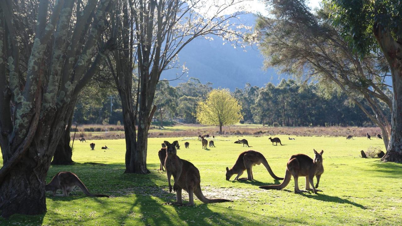 VICTORIAN SILO ART TRAIL & GRAMPIANS - On Course Tours & Travel ...
