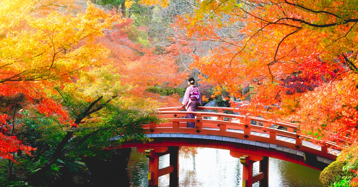 FALLING FOR JAPAN - AN AUTUMN ADVENTURE