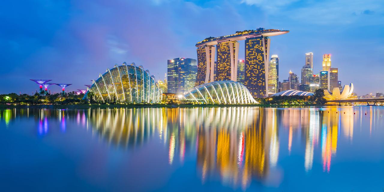 SINGAPORE - CITY LIGHTS & CULTURAL DELIGHTS