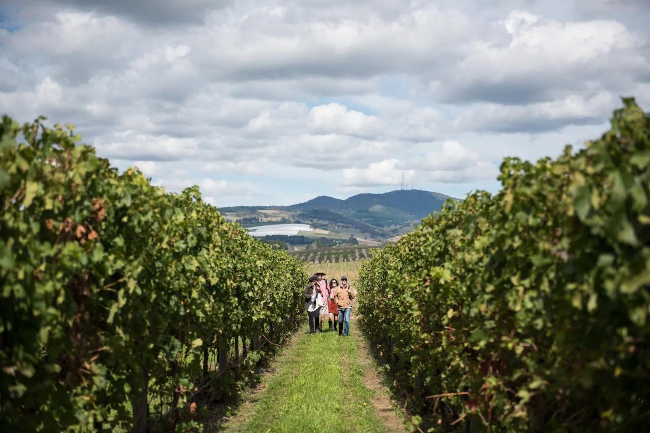 ORANGE FOOD WEEK & MUDGEE HARVEST ESCAPE