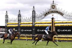 MELBOURNE CUP