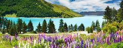 DISCOVER NEW ZEALAND - BOTH ISLANDS 