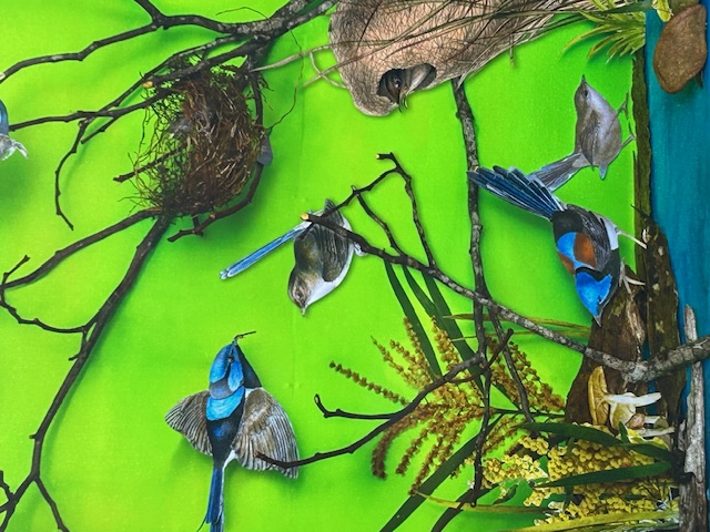 Blackwood exploring secrets walk