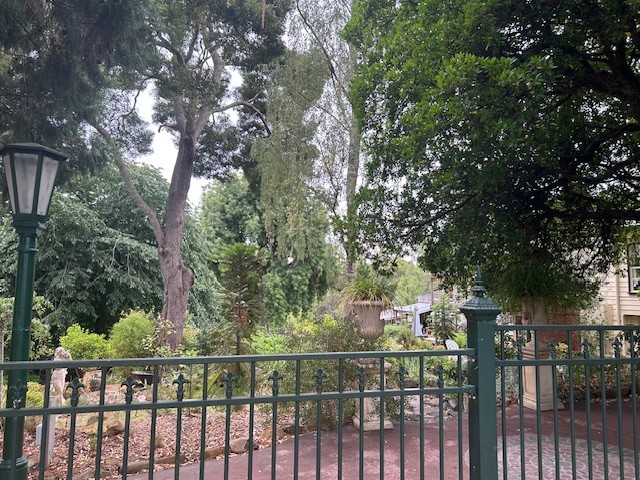 Blackwood exploring secrets walk