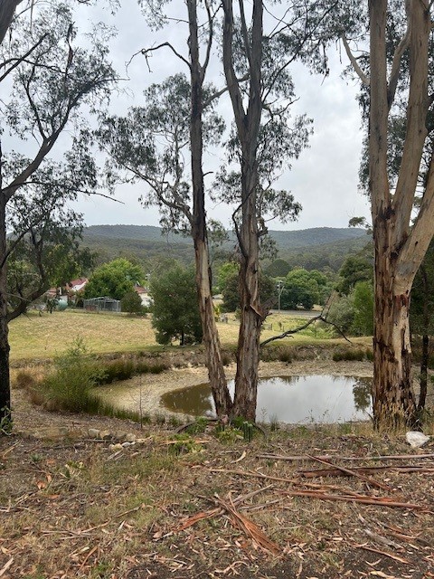 Blackwood exploring secrets walk
