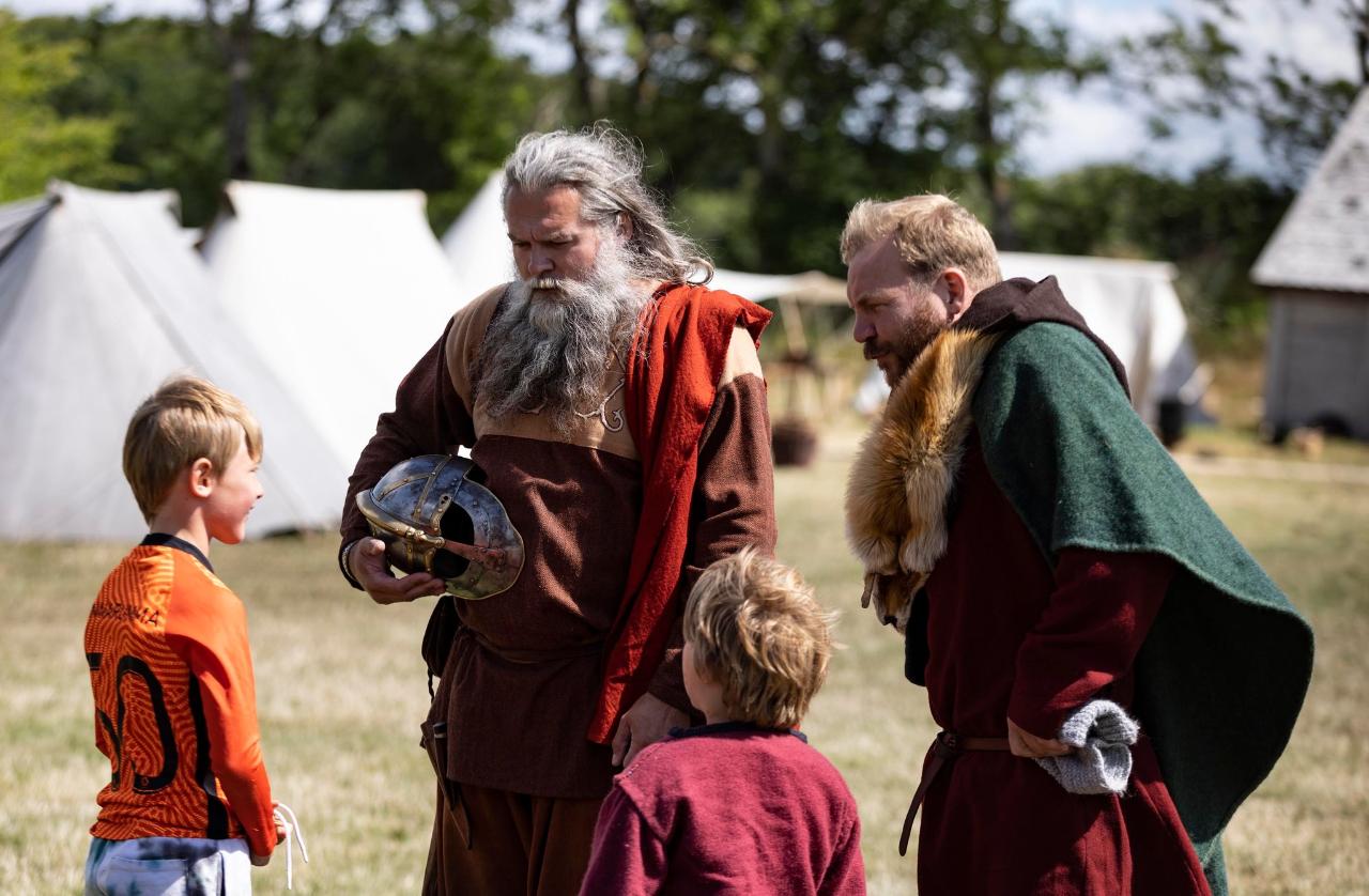 Meet the Vikings Day Tour