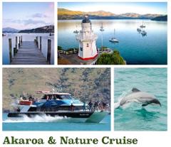 Akaroa & Nature Cruise Tour
