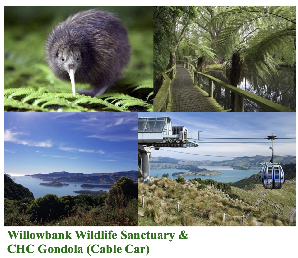 Willowbank Wildlife Park & CHC Gondola (Cable Car)