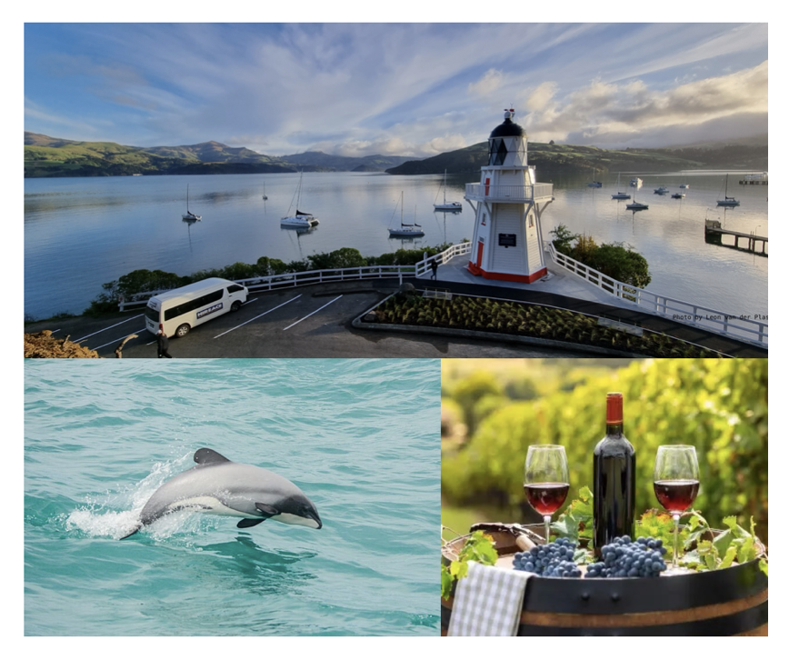 UAL Crew - Akaroa Nature Cruise & (Optional) Wine Tastings