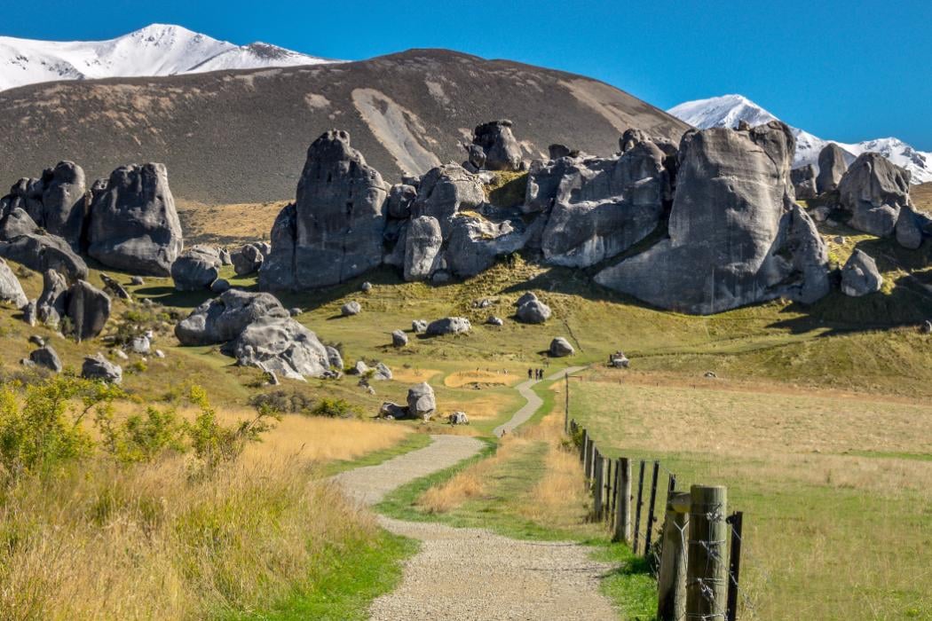 Arthurs Pass & Castle Hill Tour