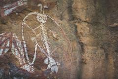 1 day Kakadu. Yellow Water. Nourlangie. Ubirr.